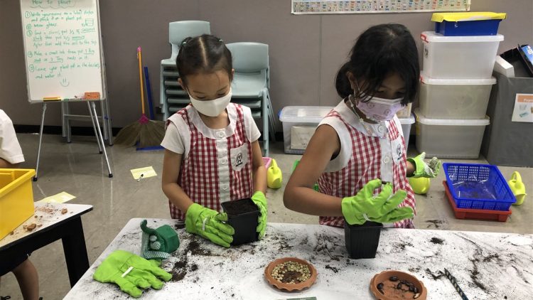 Incorporating STEM Education in Early Childhood Classrooms: Planting the Seeds of Innovation