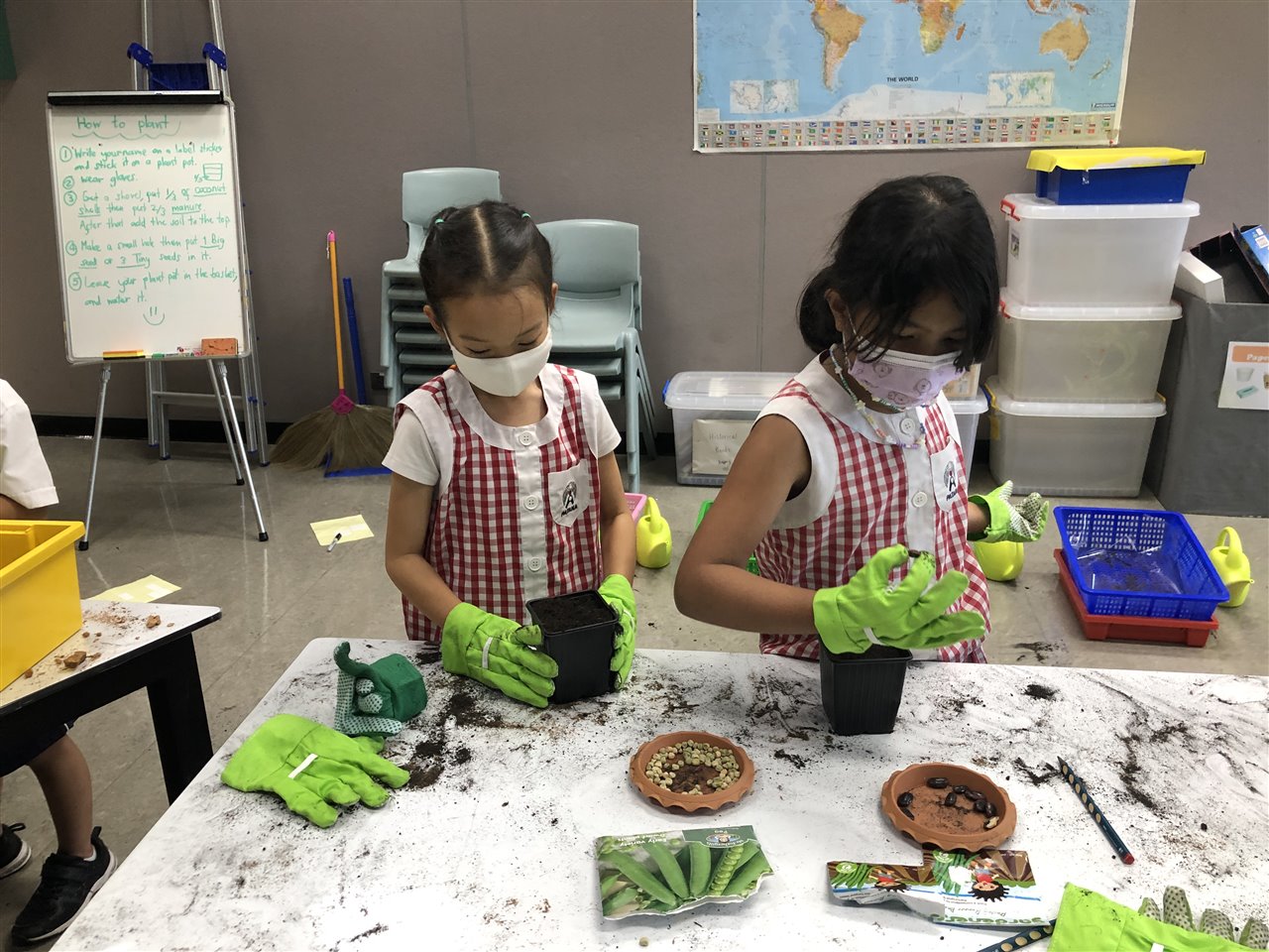 Planting a Seed and Watching it Grow - Bangkok Patana School